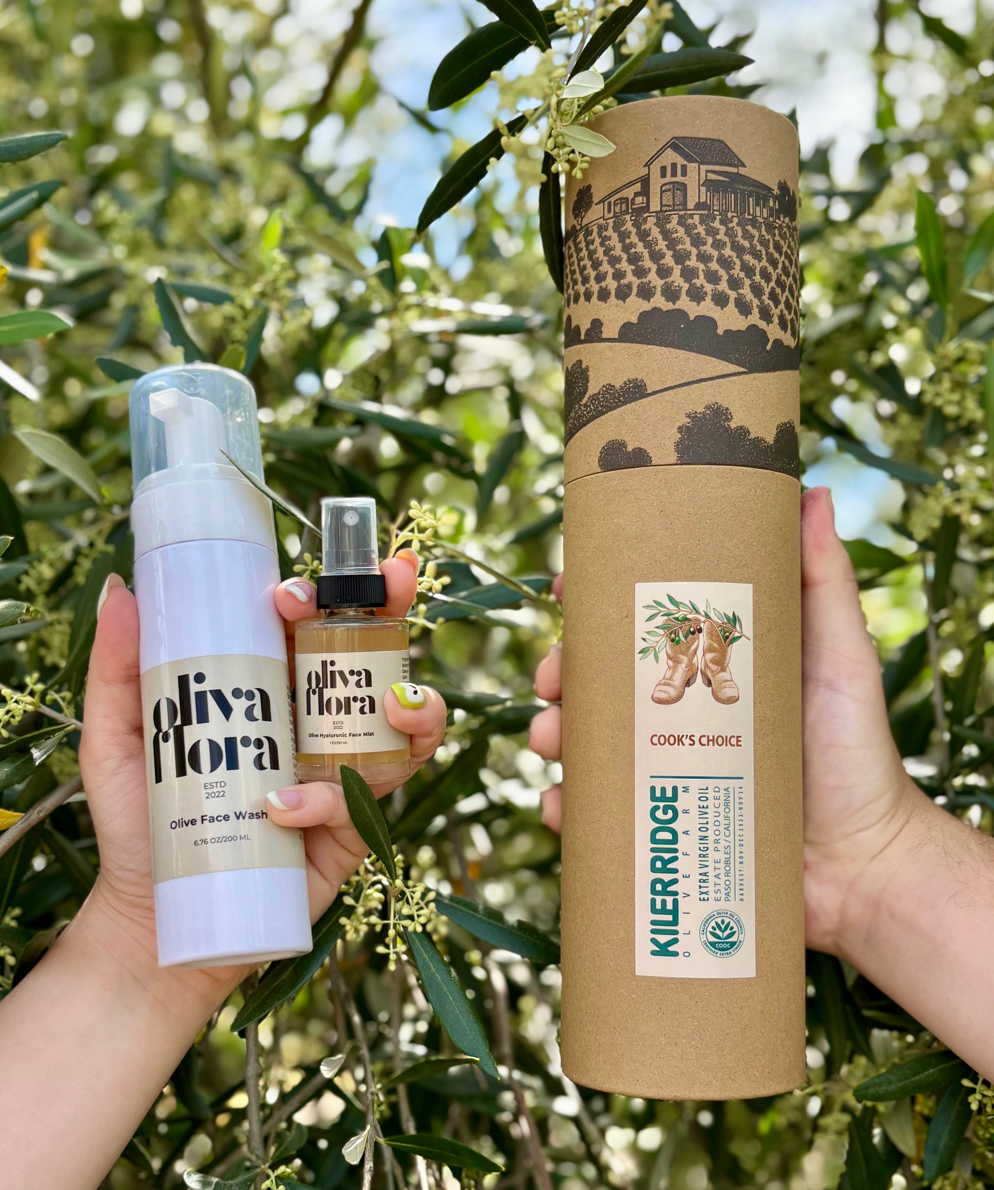 Grove to Glow: The Signature Box